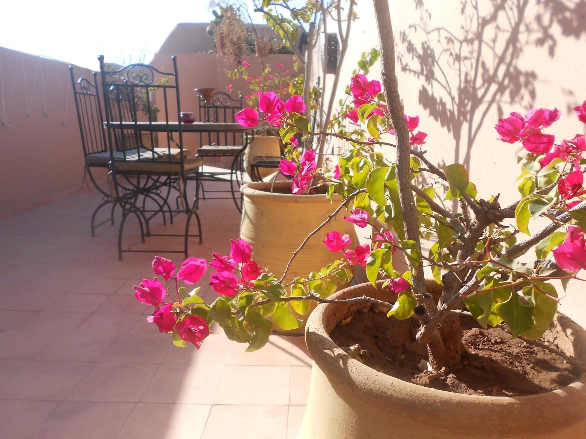 Riad Prada Marrakesh Ngoại thất bức ảnh